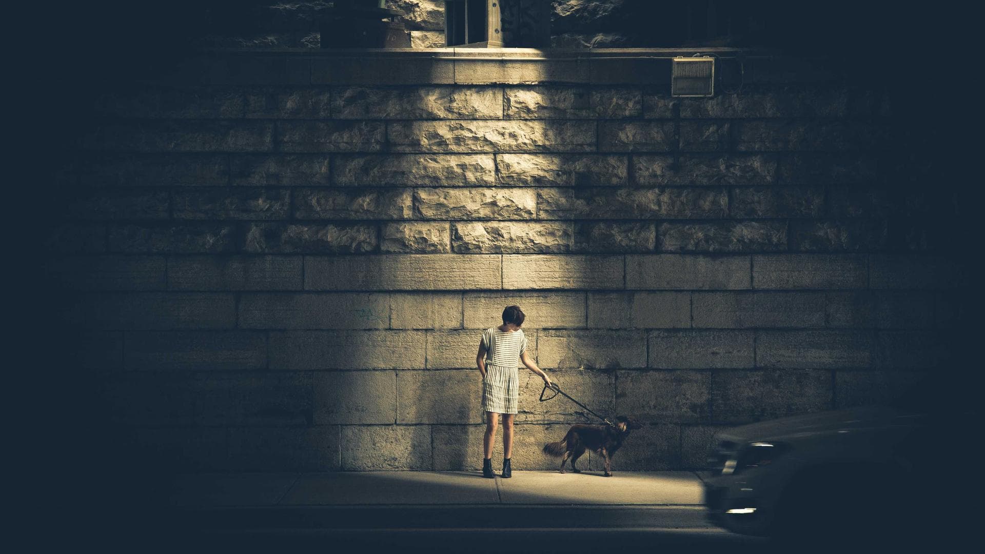 Custom GPTs als Workflow-Hebel für Selbstständige