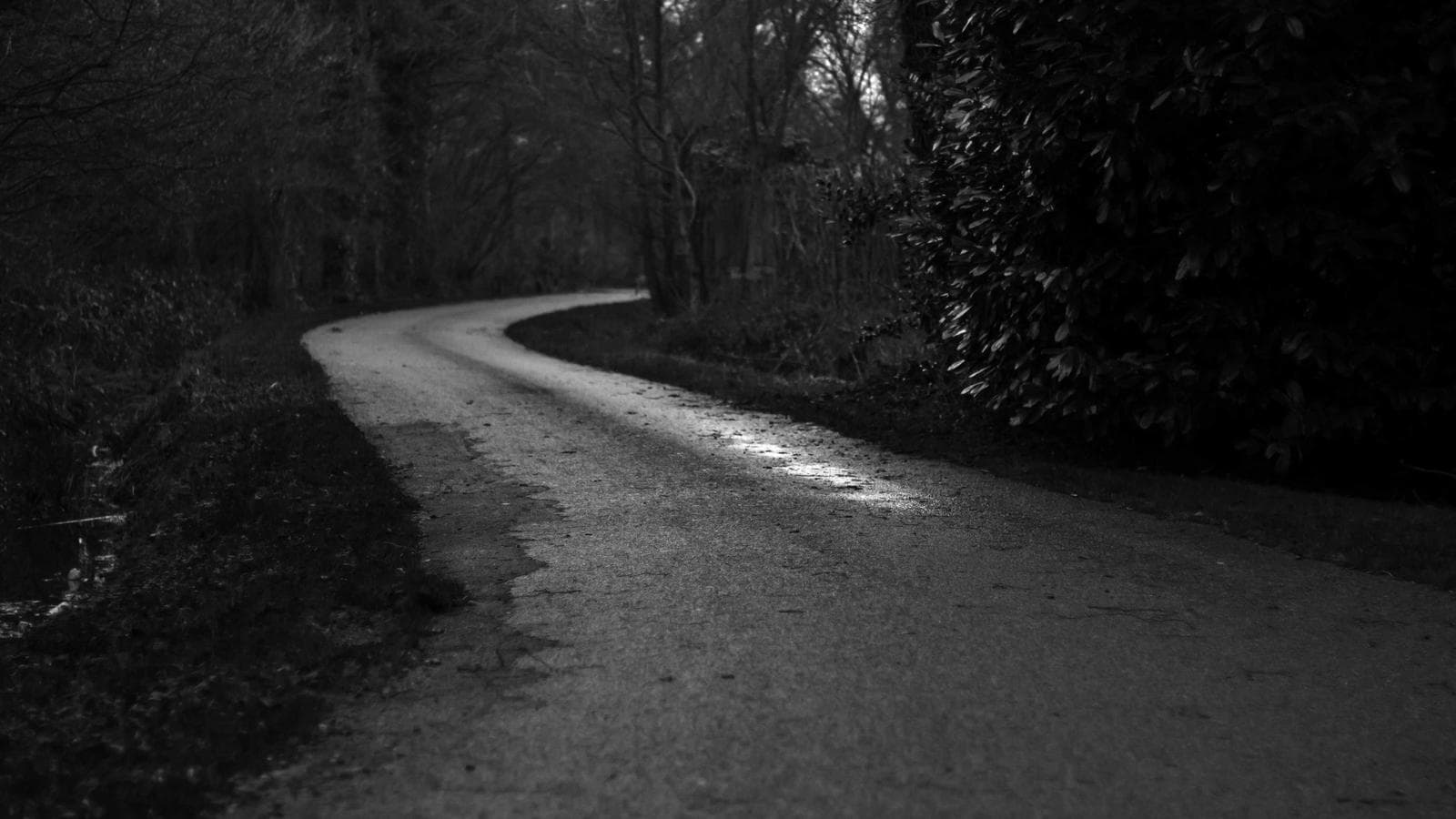 Technik Setup für Online Coaches: Warum deine Präsenz am Equipment hängt.