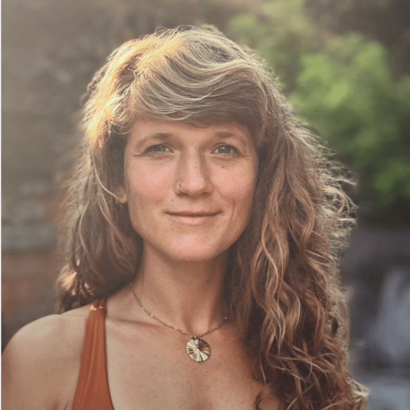 Dr. Dr. Hanna Budig